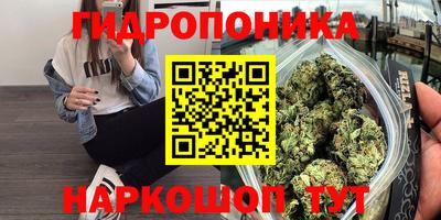 скорость mdpv Кингисепп