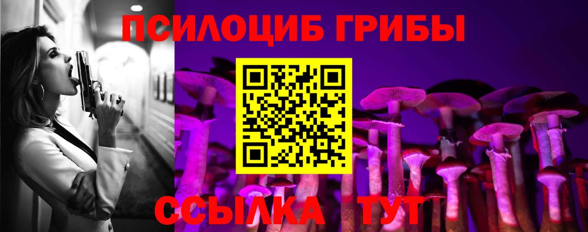 Галлюциногенные грибы Psilocybe Волоколамск