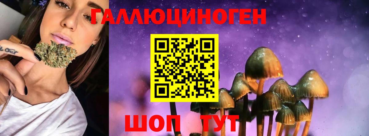 Галлюциногенные грибы GOLDEN TEACHER  Вход с VPN  Волоколамск 